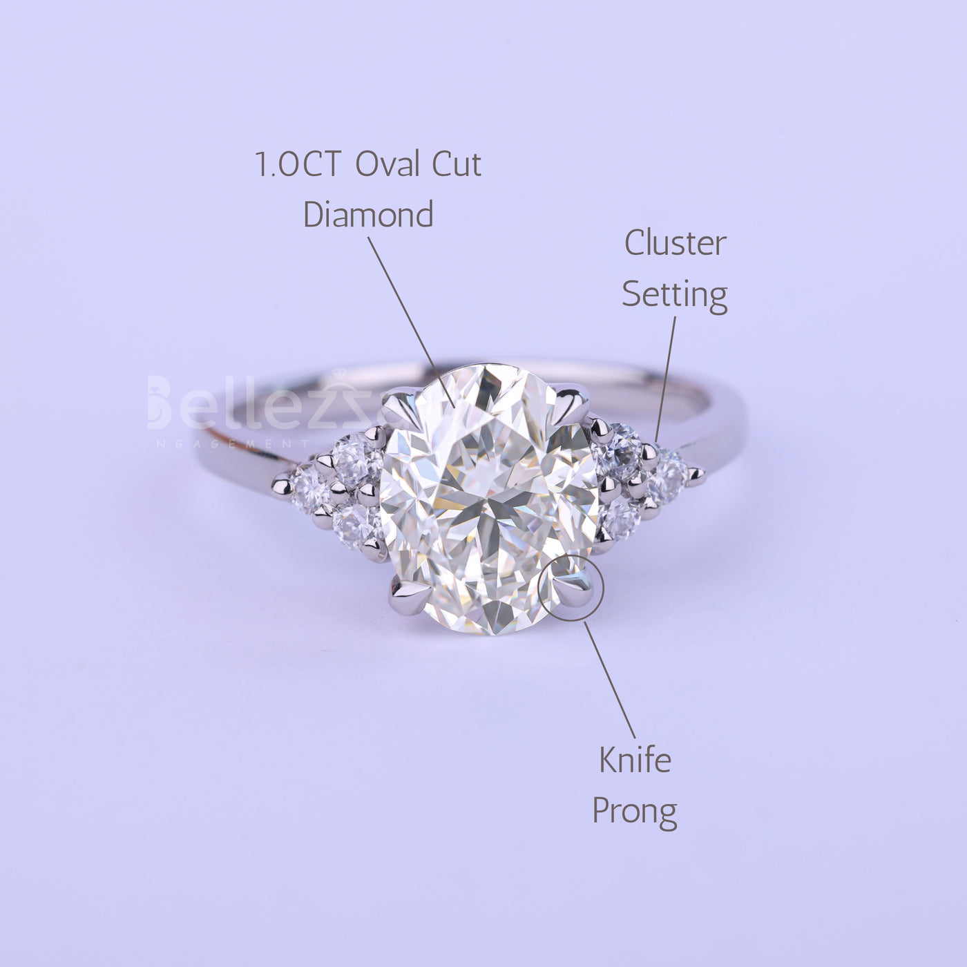 1.0CT Oval Cut Cluster Diamond Moissanite Engagement Ring