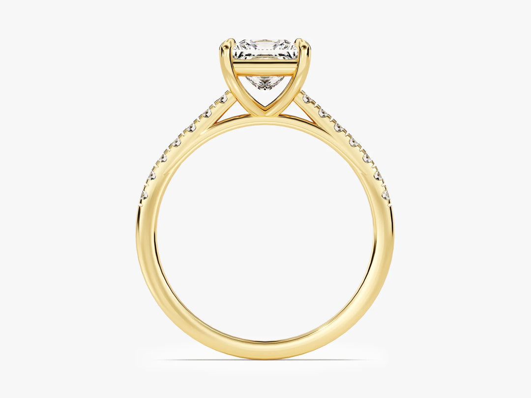 1.0CT Princess Diamond Pave Setting Moissanite Engagement Ring