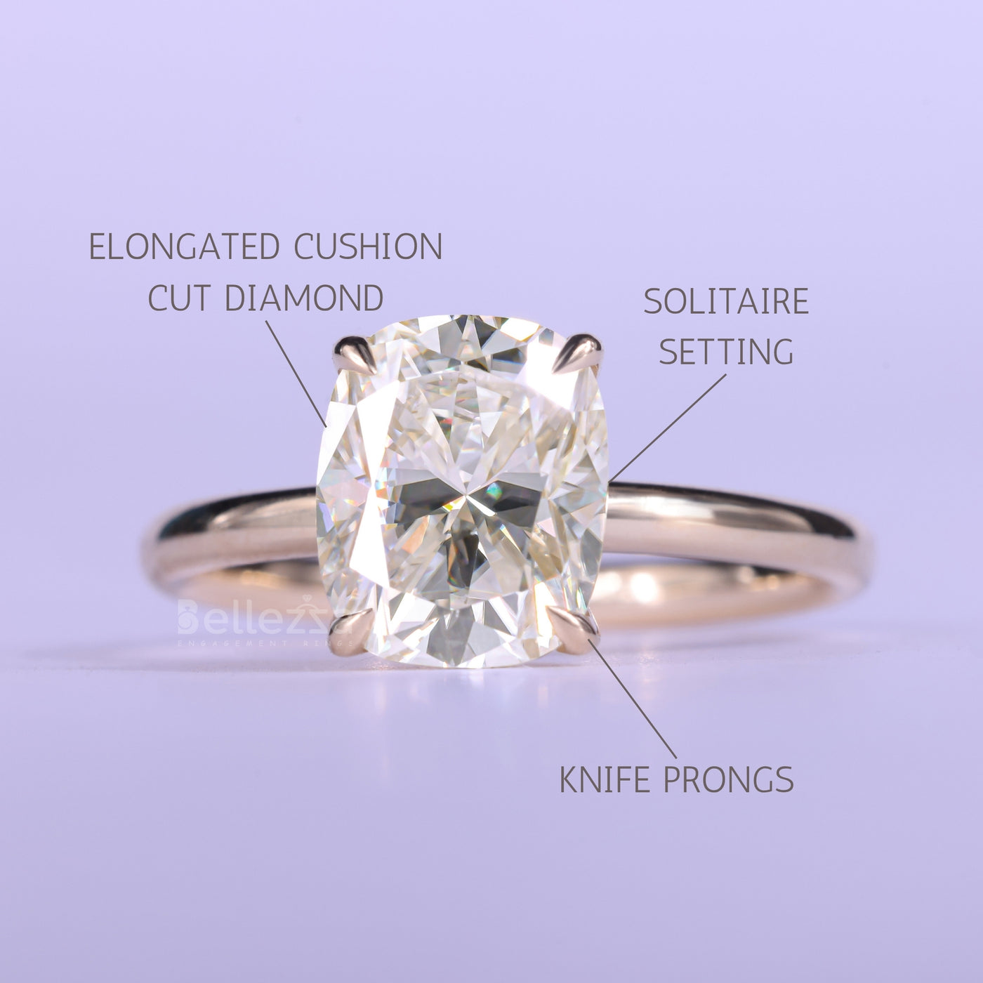 1.50CT Elongated Cushion Cut Hidden Halo Engagement Ring