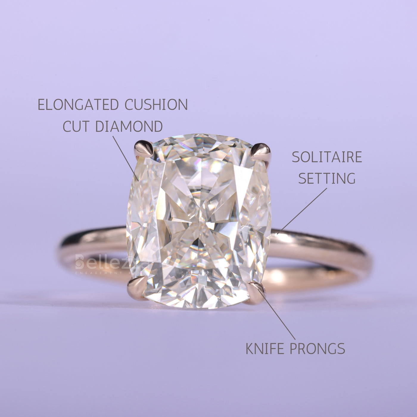 2.0CT Elonganted Cushion Cut Hidden Halo Set Ring