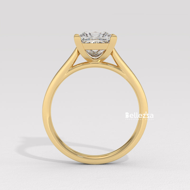 1.0-2.0CT Priness Diamond Pave Setting Lab Grown Engagement Ring